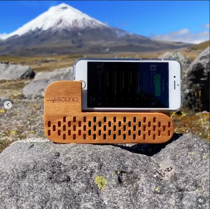 Amplificador Souno Ravel