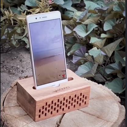 Amplificador Souno Trola